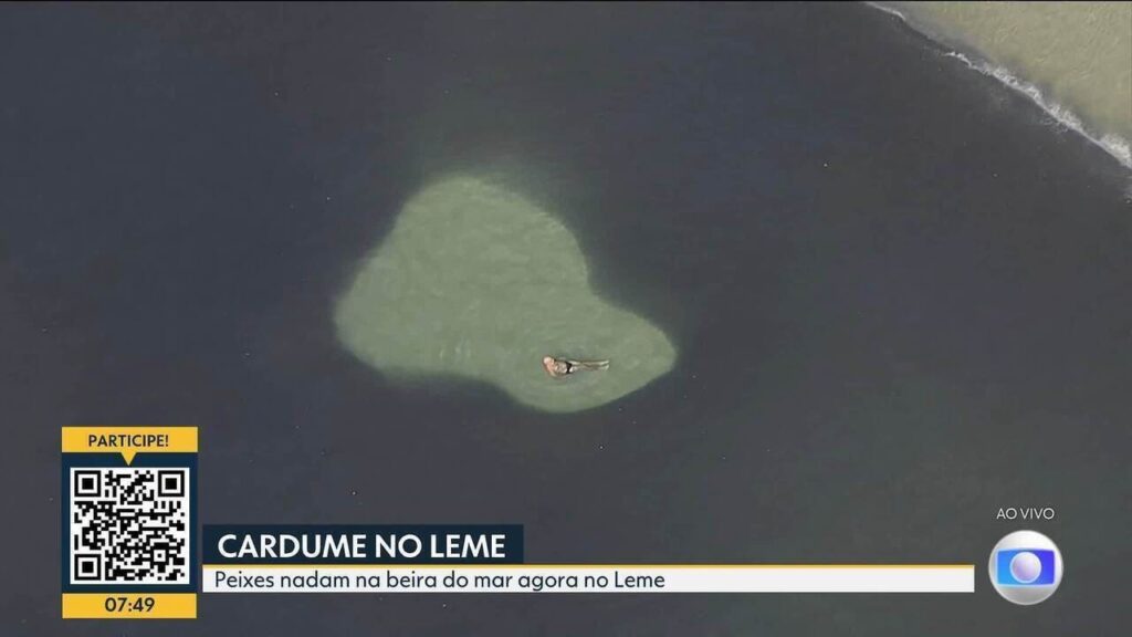 Banhistas Encontram Cardumes na Praia do Leme: Um Show Natural