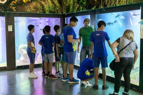 Complexo Biocultural do Porto: Um Refúgio de Lazer, Educação e Cultura em Cuiabá