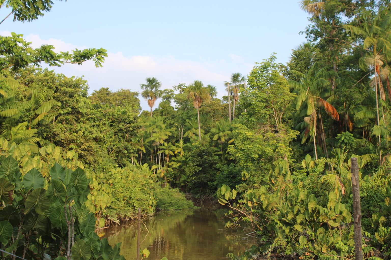 Diplomacia Brasileira: Destaques de 2025 nas Conferências COP30, Brics e Mercosul-UE