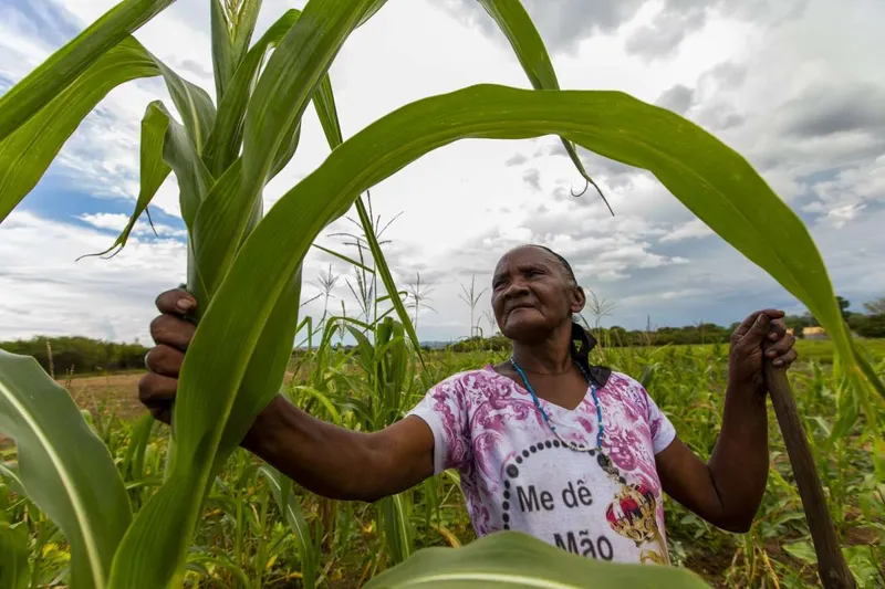 Rio de Janeiro Sedia Conferência Estadual para Nova Política de Desenvolvimento Rural Sustentável Imagem do artigo