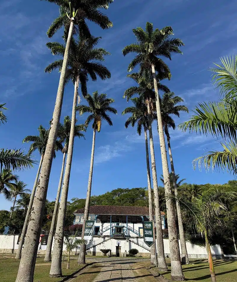 Fazenda São Luiz da Boa Sorte: Turismo, Café Especial e História no Vale do Café