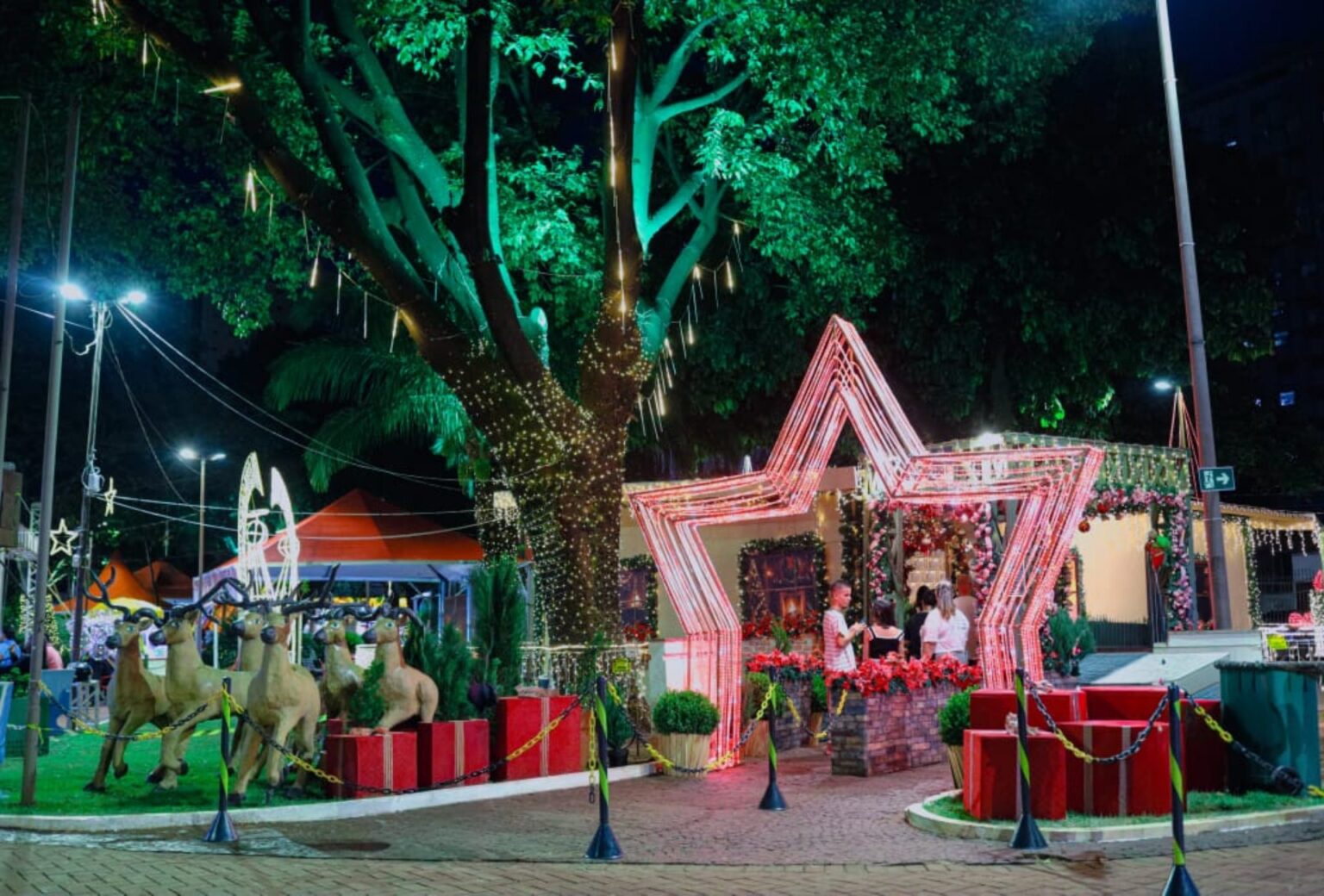 Show da Virada e Atrações Natalinas Marcam a Última Semana do Ano em Campo Grande