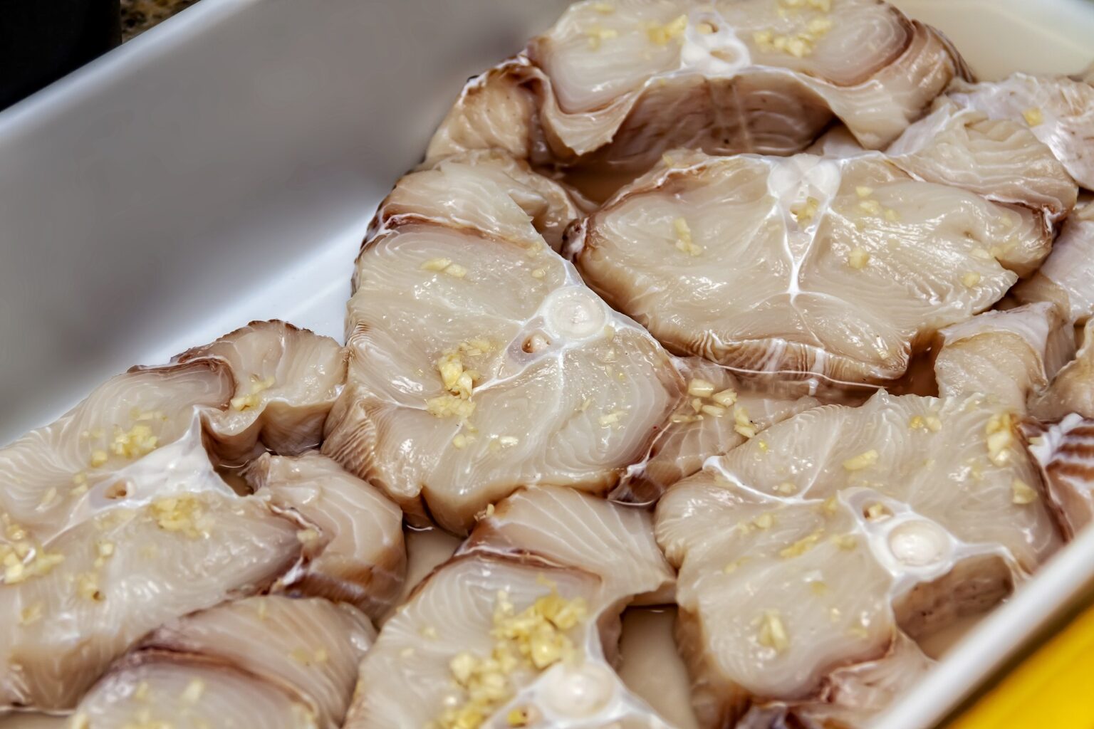 Carne de Tubarão Proibida na Merenda Escolar do Rio de Janeiro: Entenda a Decisão