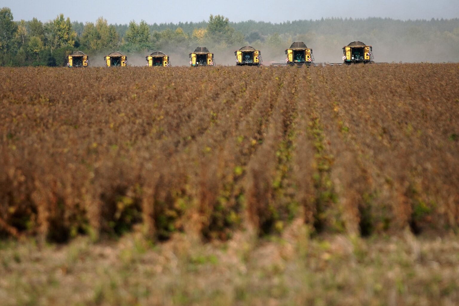 Comércio Brasil-China Alcança Recorde de US$ 170 Bilhões, Superando EUA Comércio Brasil-China Alcança Recorde de US$ 170 Bilhões, Superando EUA