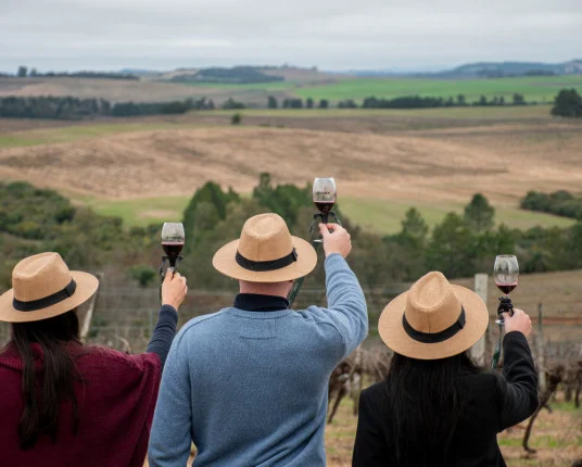 Enoturismo no Rio Grande do Sul Registra Crescimento de Quase 60% em 2025