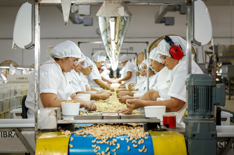 Produção Industrial do Ceará Registra a 3ª Maior Queda em Novembro, Aponta IBGE