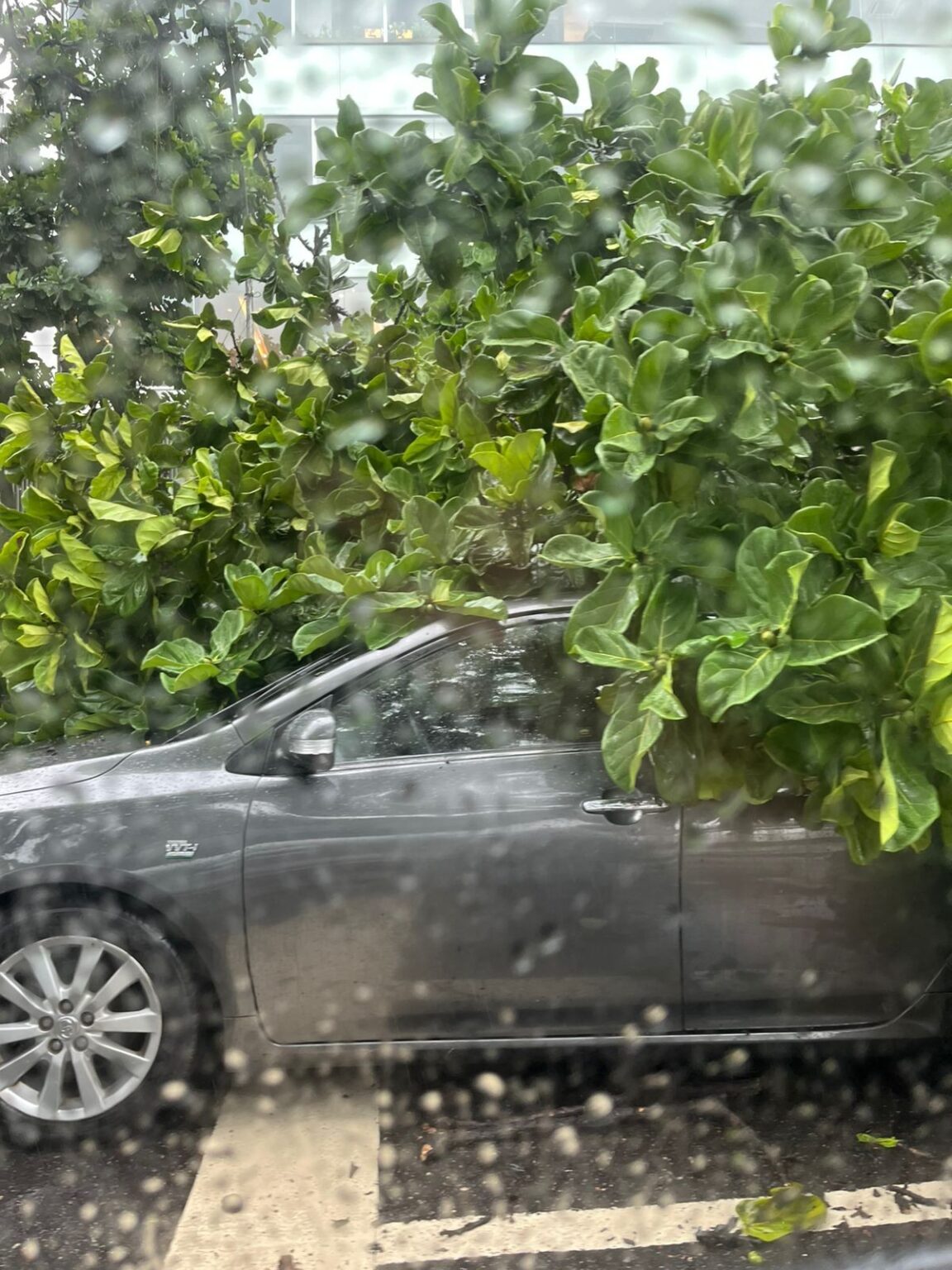 Temporal no Rio: Árvore cai sobre carros e casa desaba na Rocinha Temporal no Rio: Árvore cai sobre carros e casa desaba na Rocinha
