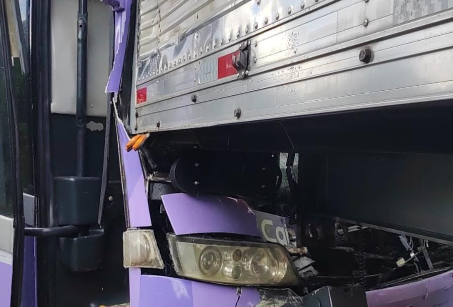 Acidente Envolvendo Ônibus de Turismo e Caminhões na BR-101; Assista ao Vídeo!