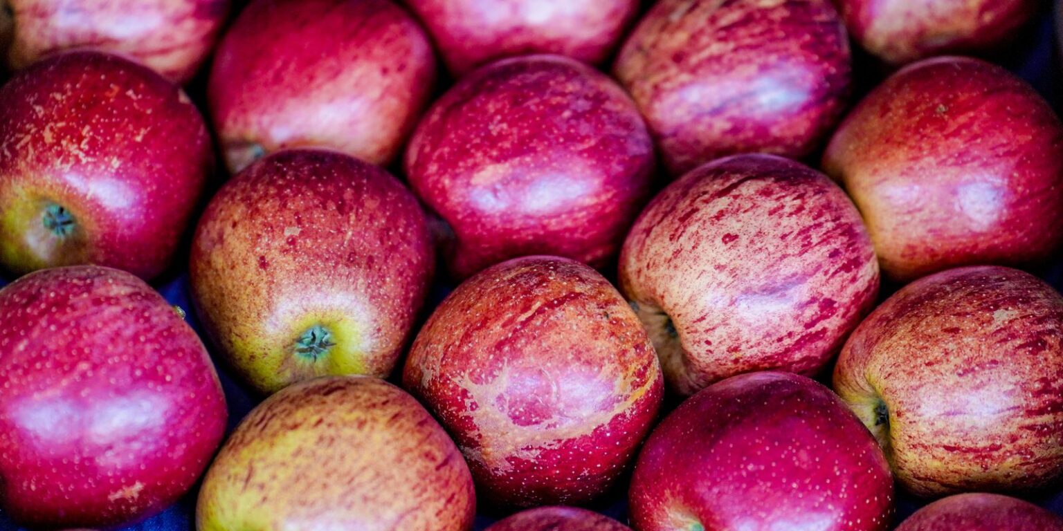 Como Montar uma Lancheira Saudável para o Retorno às Aulas