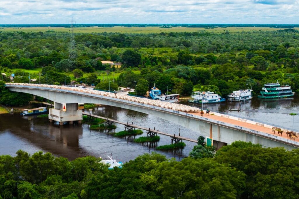 Fotógrafo Captura a Cultura Pantaneira em Vídeo Impressionante Fotógrafo Captura a Cultura Pantaneira em Vídeo Impressionante