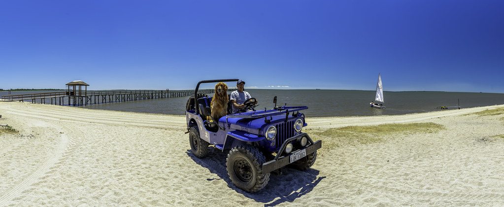 Rio Grande do Sul: O Destino Favorito dos Turistas Internacionais em Janeiro de 2026