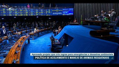Senado Aprova Medida para Resgate de Animais em Desastres Naturais Senado Aprova Medida para Resgate de Animais em Desastres Naturais