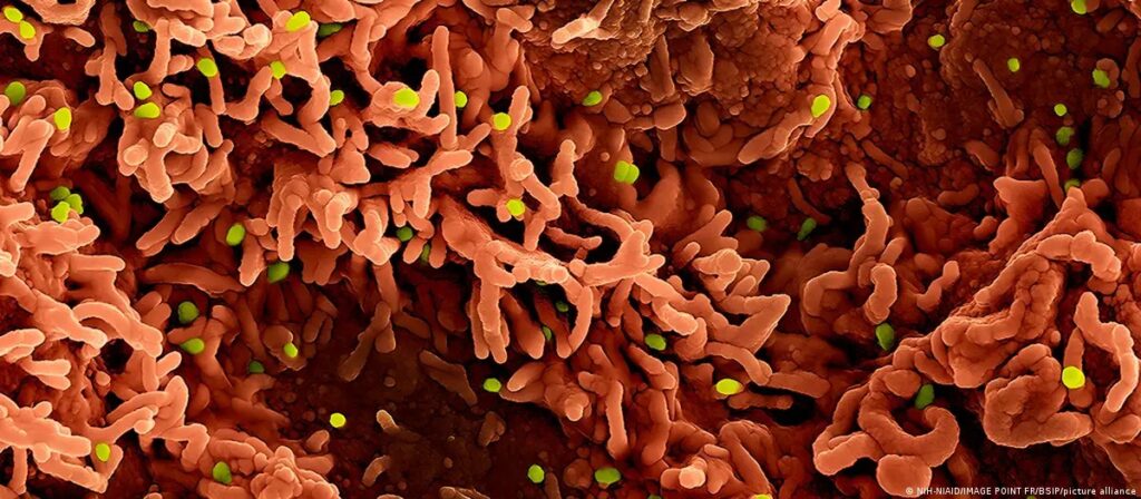 Três Vírus que Podem Criar Novas Crises em 2026: O Que Esperar?