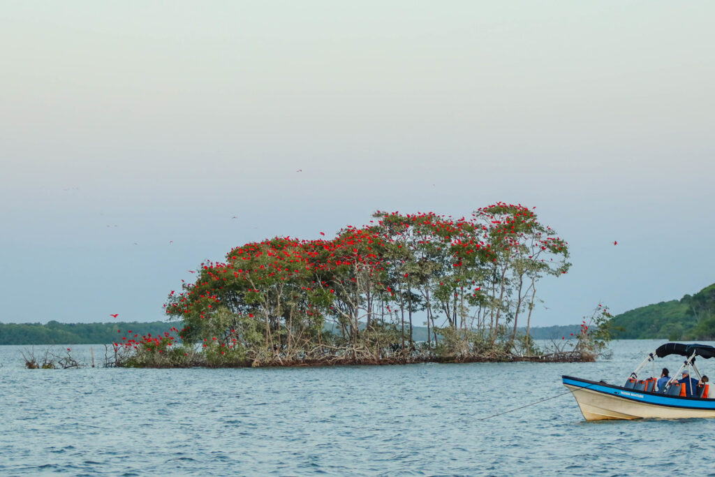 Turismo no Piauí: Empregos Crescem 83% até 2025 Turismo no Piauí: Empregos Crescem 83% até 2025
