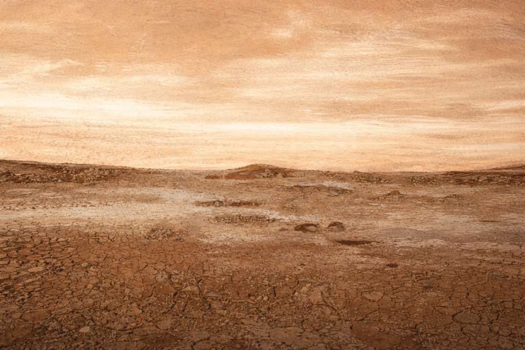 Zilah Garcia Inaugura Exposição 'Terra' em Olímpia, Sua Cidade Natal