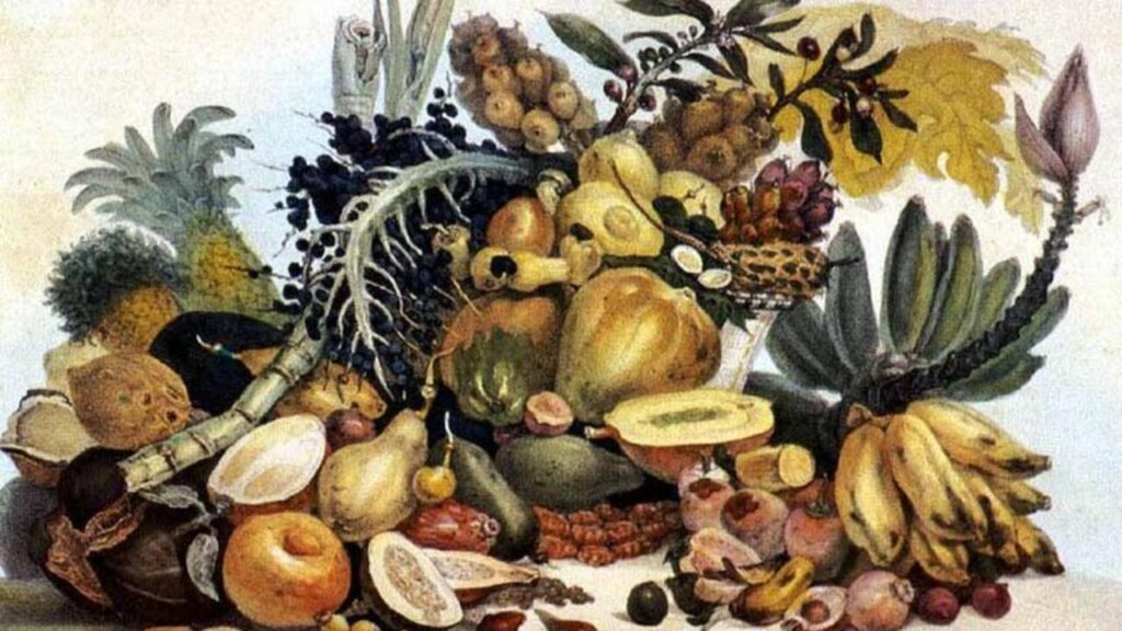 A Influência da Gastronomia Brasileira na Cozinha Portuguesa: Fortalecendo Laços Culturais