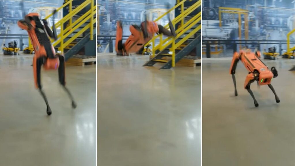 Cães Robôs: Segurança Digital com Tecnologia de Ponta