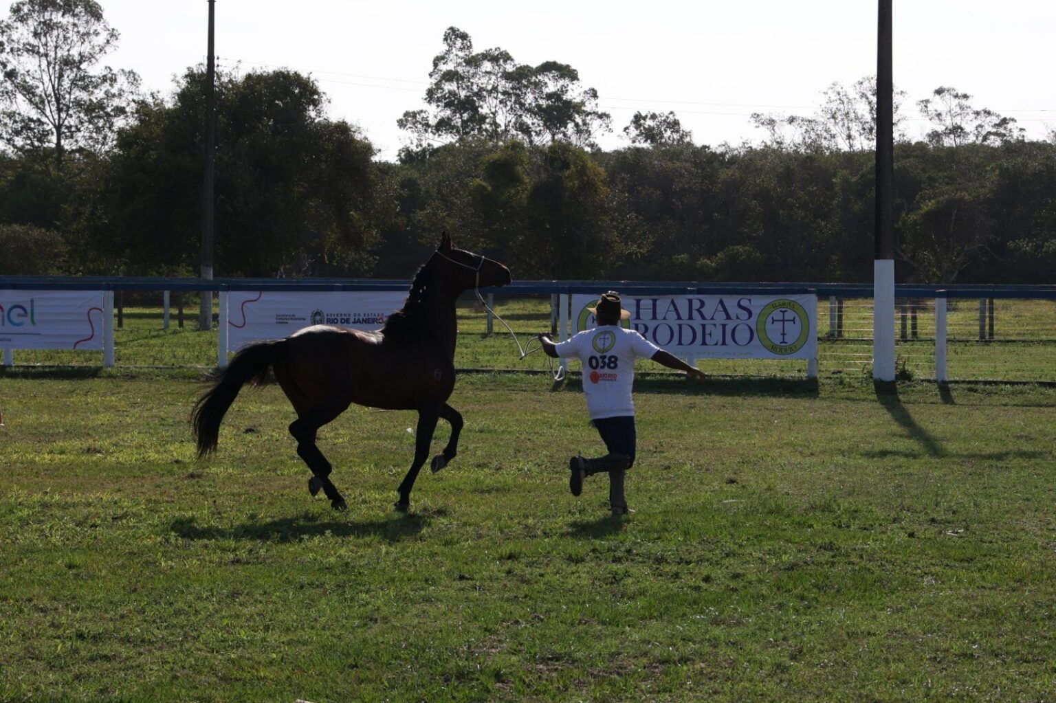 Caminho Agro Rio: Zezé Di Camargo e Diversão no Riocentro Este Fim de Semana