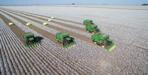 Crescimento do PIB é de apenas 2% enquanto agroexportação dispara 12%, revela IBGE