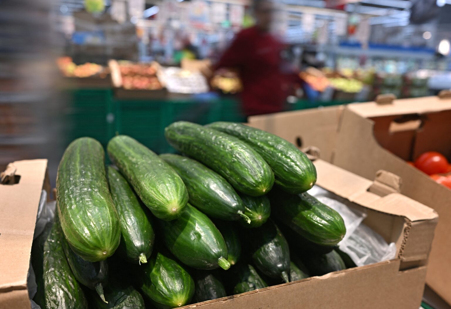 Crescimento do PIB em Janeiro: 0,8% e a Maior Expansão Mensal em Um Ano Crescimento do PIB em Janeiro: 0,8% e a Maior Expansão Mensal em Um Ano