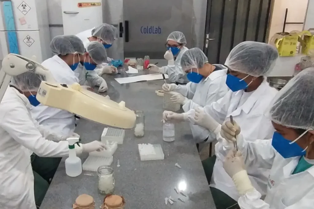 Descoberta de Coronavírus em Morcegos no Arco do Desmatamento em MT