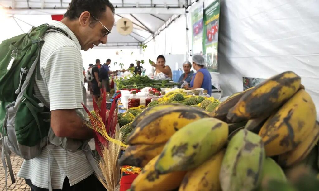Dicas Práticas para Escolher Frutas e Verduras no Mercado e Evitar Desperdícios Dicas Práticas para Escolher Frutas e Verduras no Mercado e Evitar Desperdícios