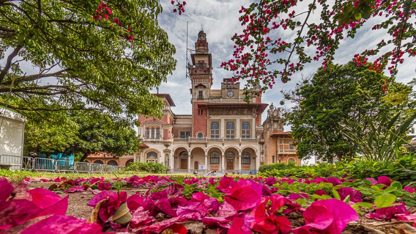 Os Melhores Museus Interativos para Crianças em São Paulo e Rio de Janeiro