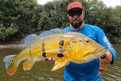 Regulamentação da Pesca Esportiva: Um Marco para a Política Ambiental no Pará