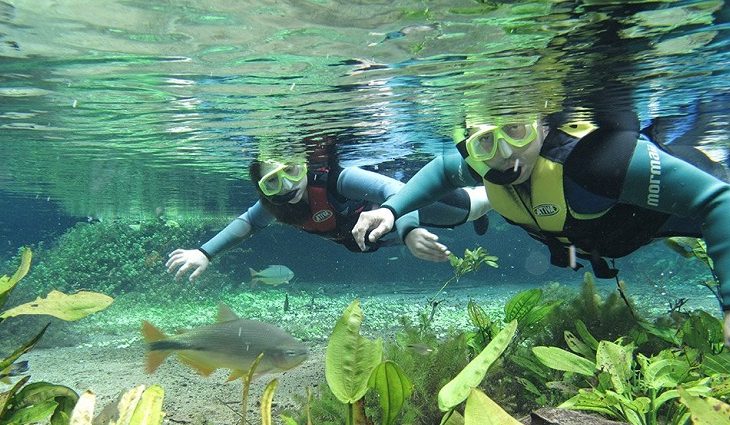 Turismo de Mato Grosso do Sul brilha na estreia do TurisMall 2026