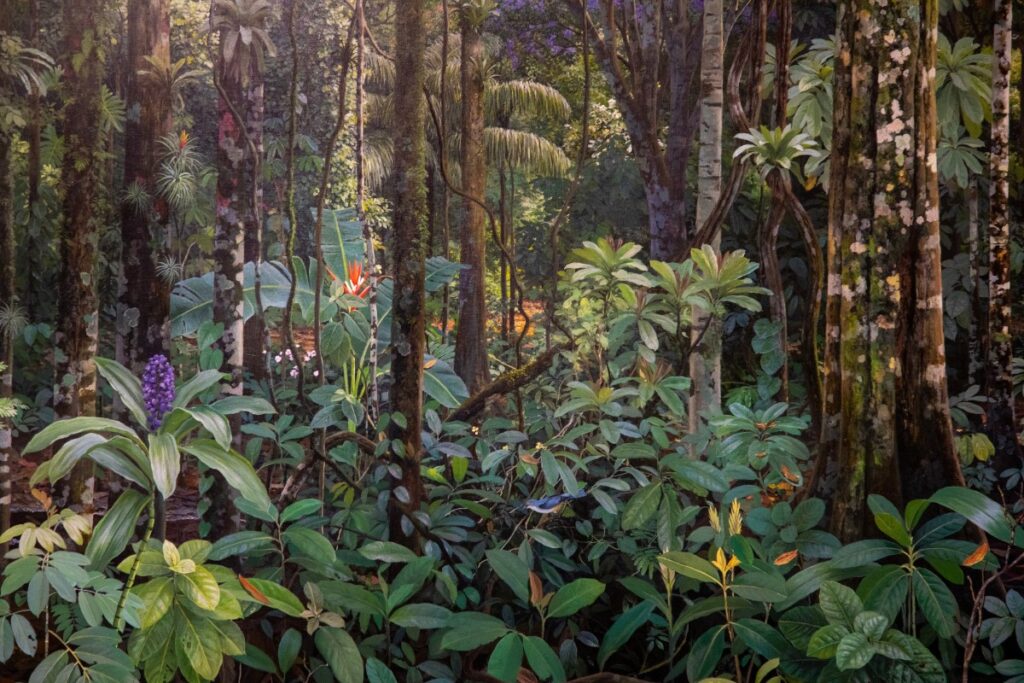 Últimos dias de exposições no Rio: Ailton Krenak, MAR de graça e muito mais!