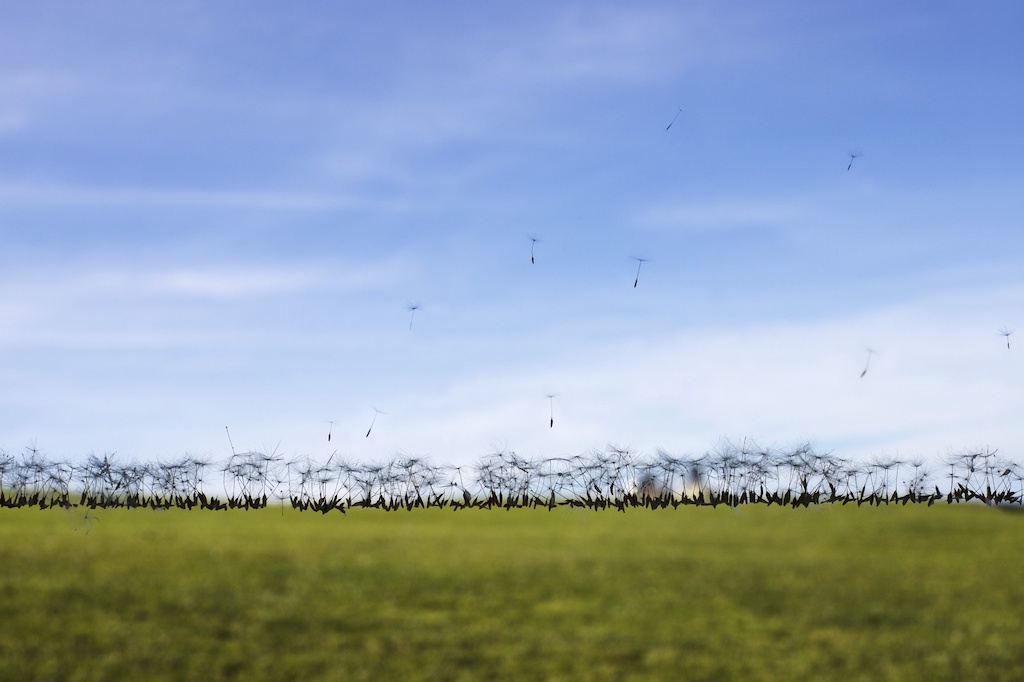 Agenda Cultural: David Catá e a Memória na Pele em Horizontes | Instituto Cervantes RJ Agenda Cultural: David Catá e a Memória na Pele em Horizontes | Instituto Cervantes RJ