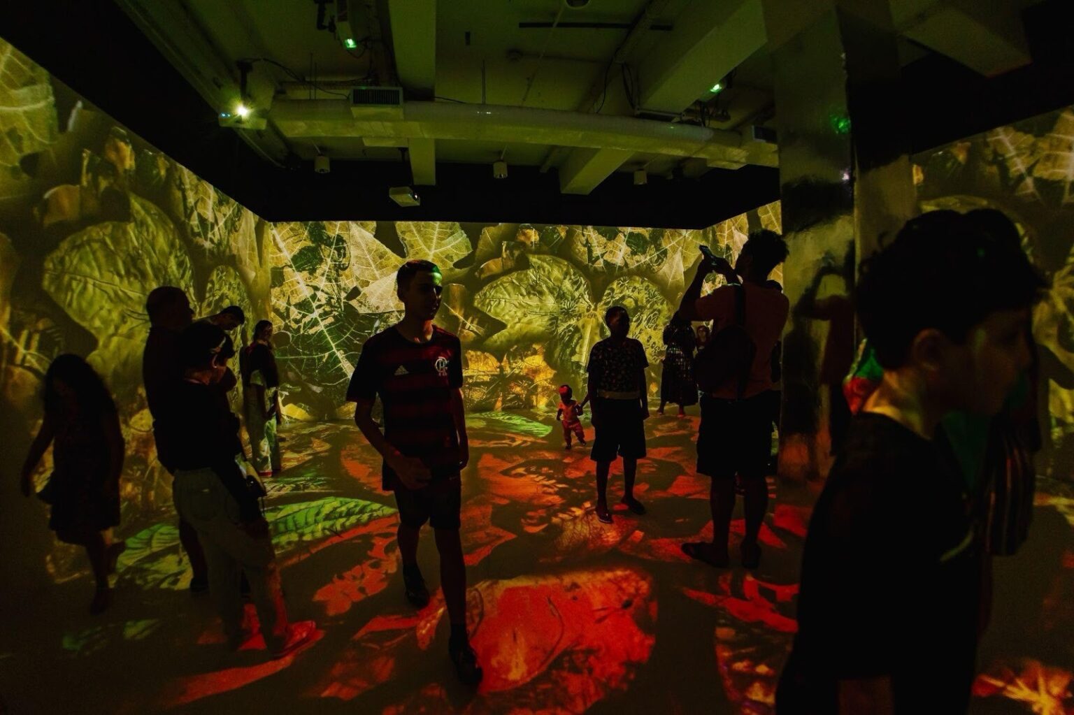 Inscrições Abertas para Projetos Culturais em Brasília: Participe do Brasilidades & Futuros