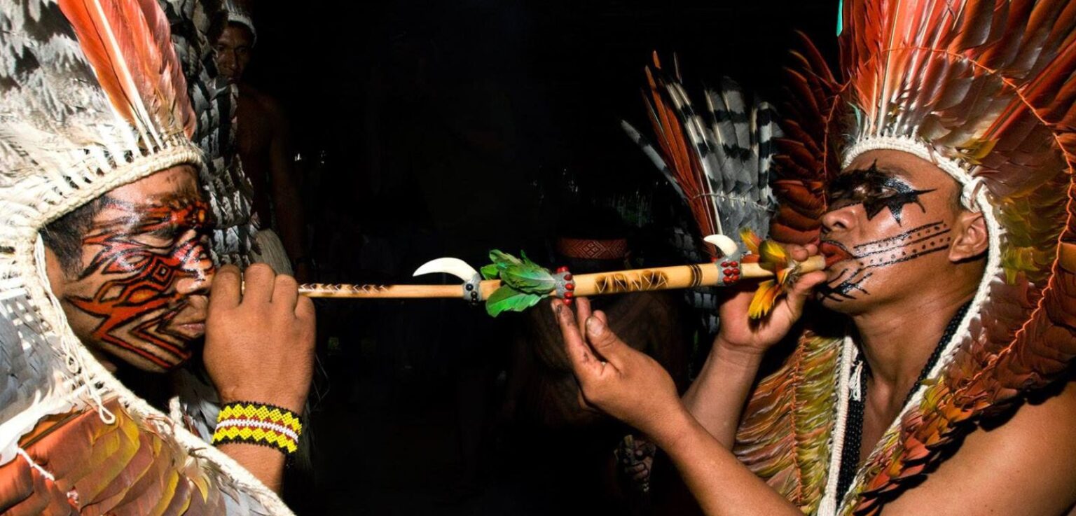 Integração de Saberes Indígenas Revoluciona o Cuidado em Saúde