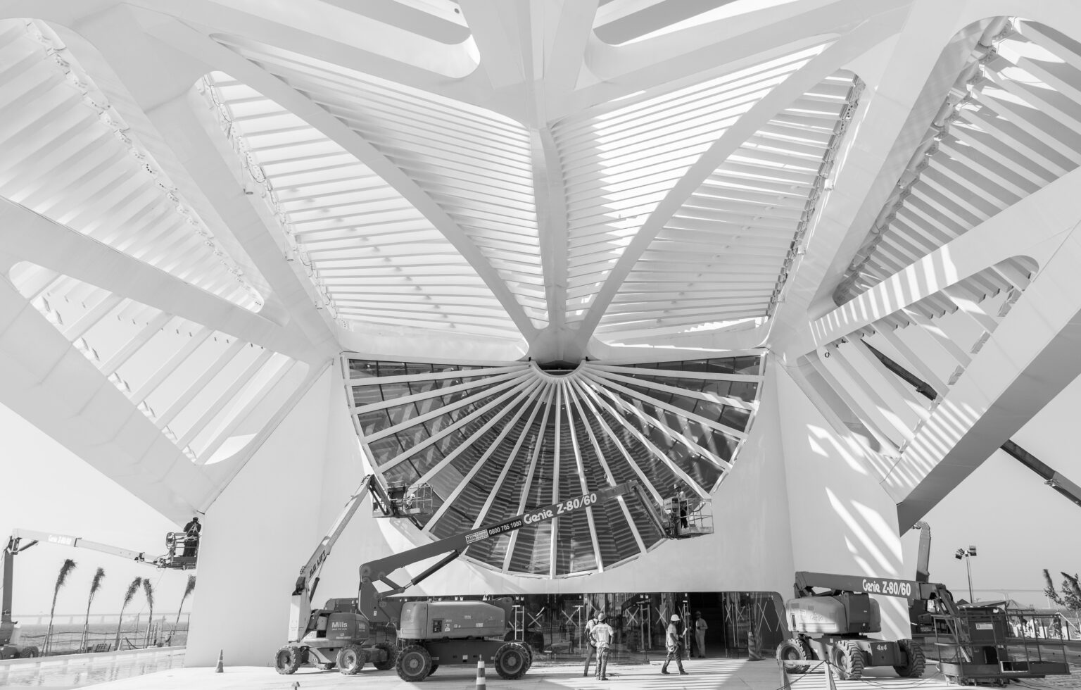 Museu do Amanhã: Uma Década de Transformações e Novidades Imperdíveis