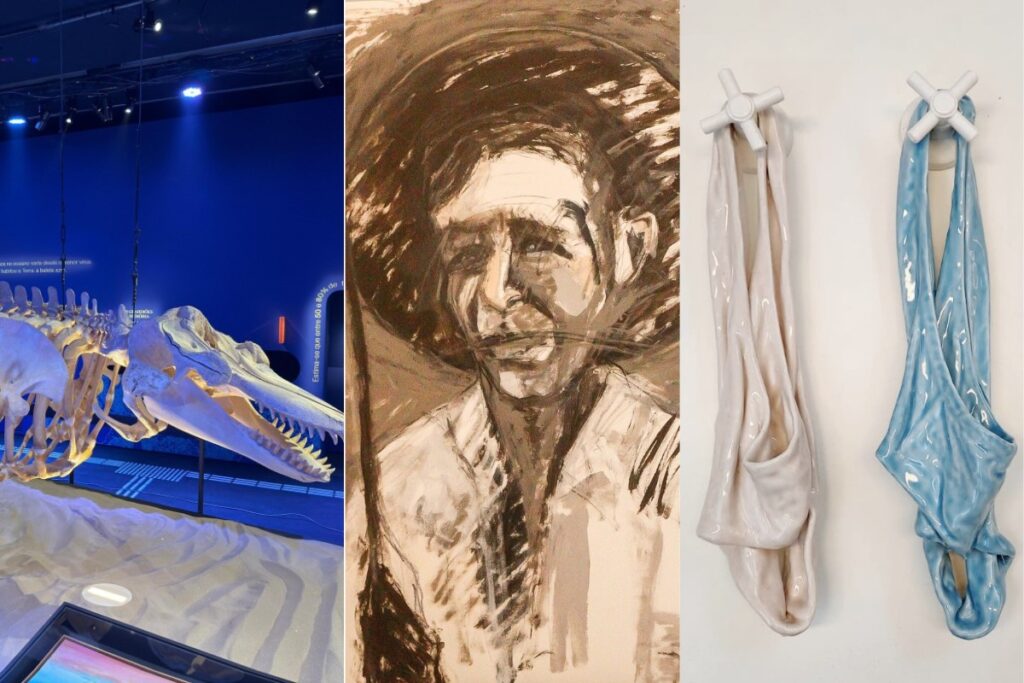 Museus do Rio de Janeiro: Arte de graça e homenagens a Virginia Woolf