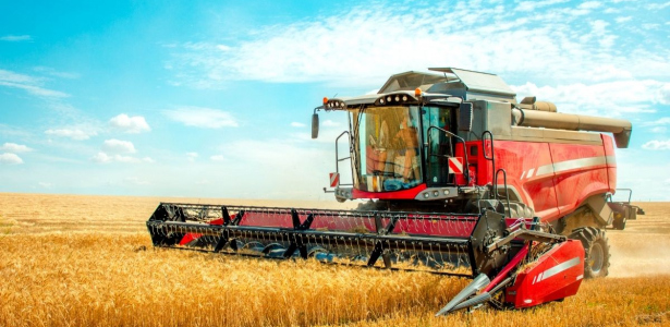 Santa Catarina Destaca-se como 4ª no Ranking Nacional da Indústria de Alimentos em 2025