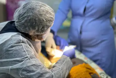 Novo Centro de Especialidades Odontológicas: 1.602 Atendimentos Transformam a Saúde Bucal no Amapá