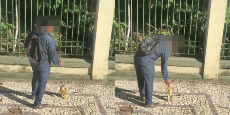 Semma Alerta: Perigos da Alimentação Inadequada de Macacos no Bosque Rodrigues Alves