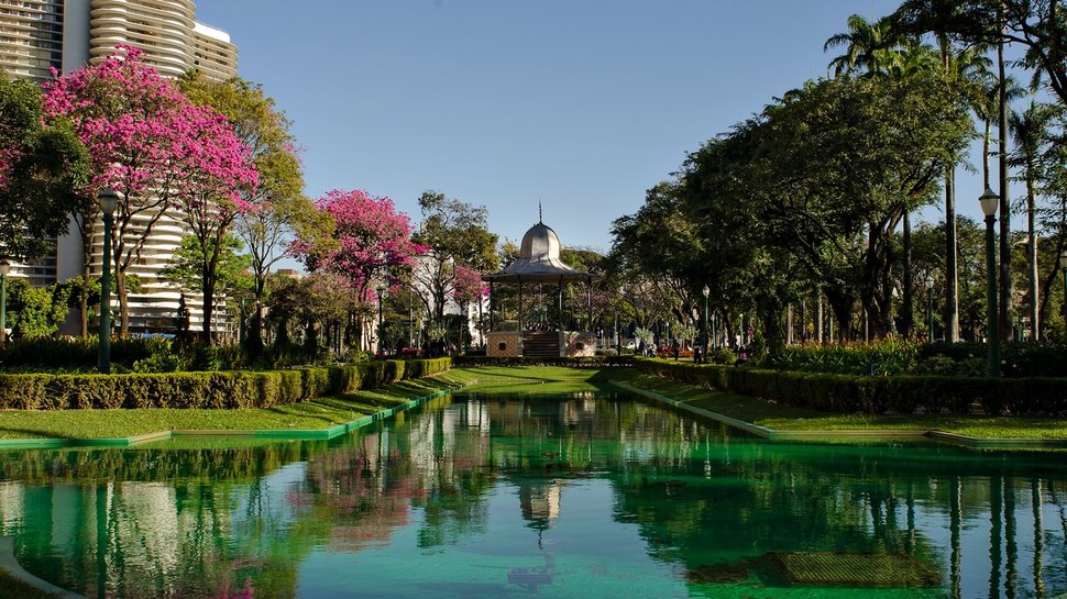 Turismo de Experiência: Aproveite ao Máximo Suas Viagens de Ônibus