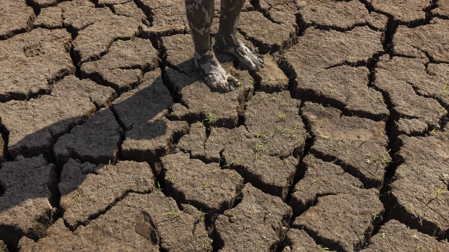 El Niño começa com força e pode trazer impactos econômicos graves, alerta agência dos EUA