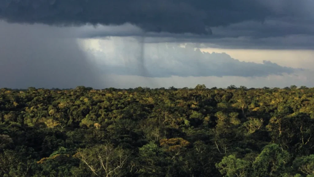 Mudanças Climáticas Aumentam Sensibilidade da Amazônia ao Desmatamento até 2050