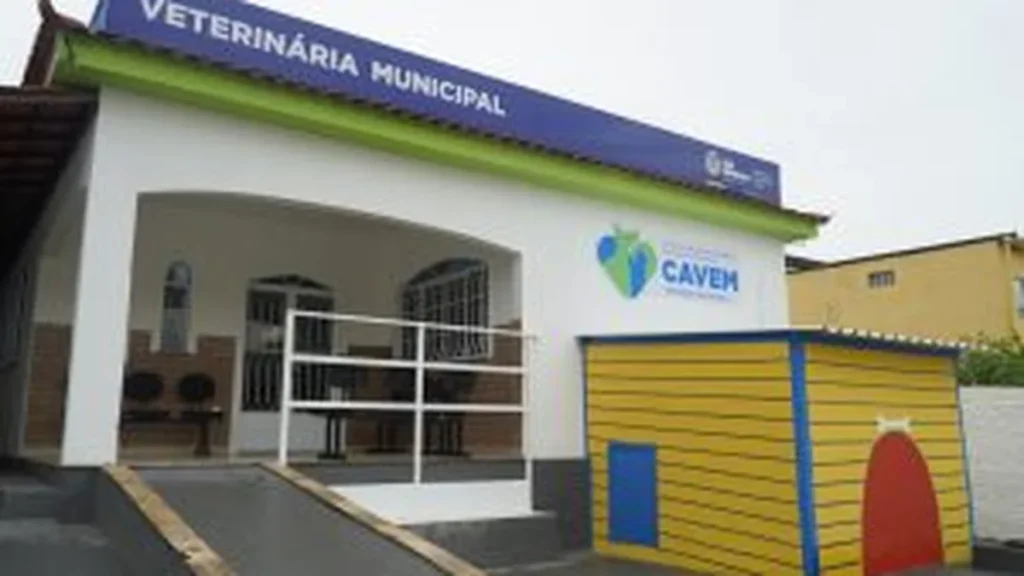 São Gonçalo abre mais de 1.300 vagas para castração gratuita de cães e gatos em julho