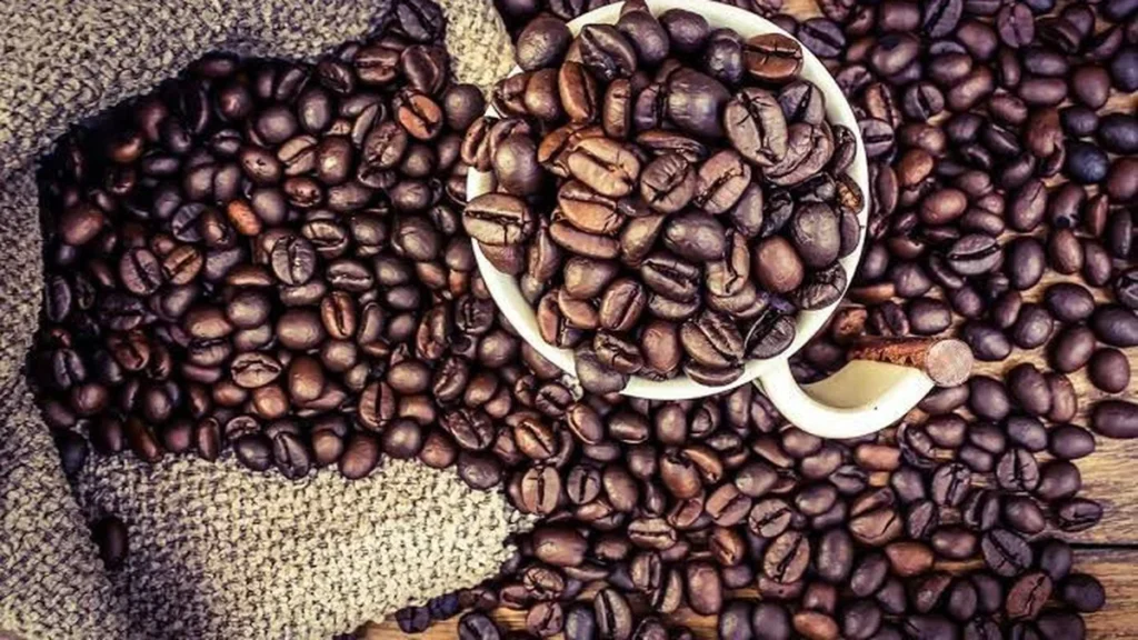 Festival do Café em Petrópolis: 16 Estabelecimentos do Centro Histórico Celebram a Cultura do Café a