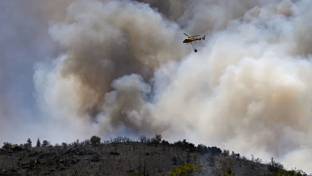 Incêndios na Europa Devastam Mais de 17 Mil Hectares em Meio ao Calor Extremo