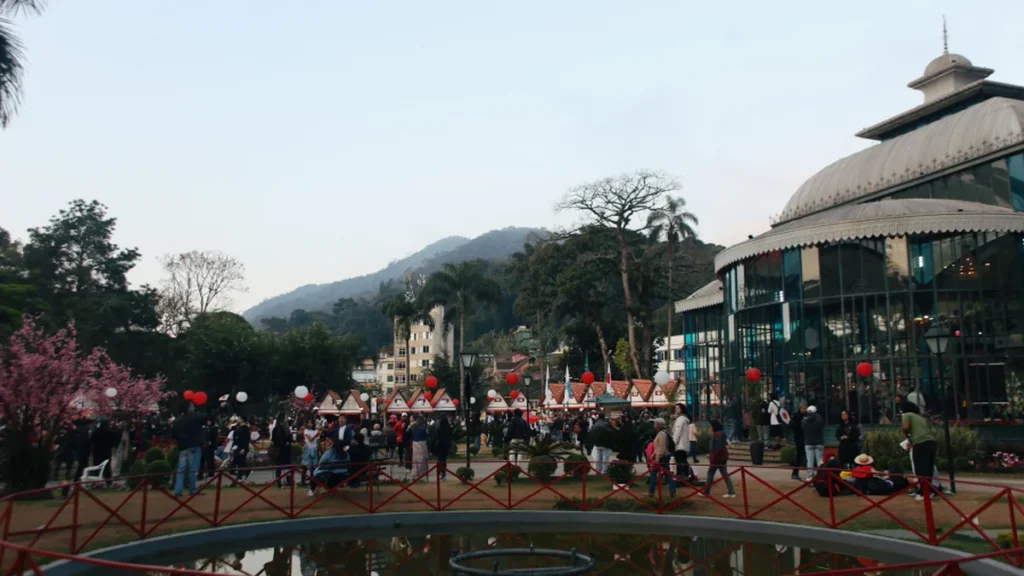 Bunka-Sai: 17ª edição celebra a cultura japonesa em Petrópolis com programação diversificada