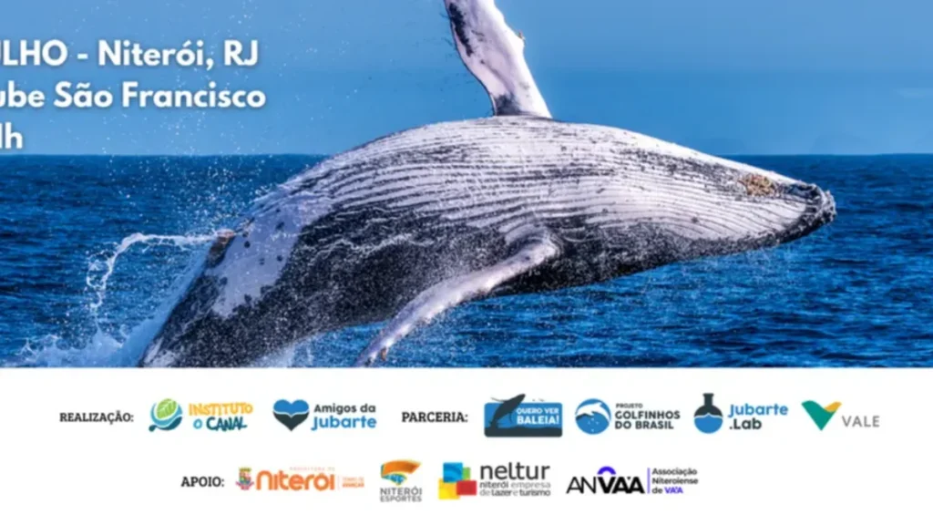 Capacitação Gratuita em Niterói Ensina Interação Sustentável com Baleias e Golfinhos Capacitação Gratuita em Niterói Ensina Interação Sustentável com Baleias e Golfinhos