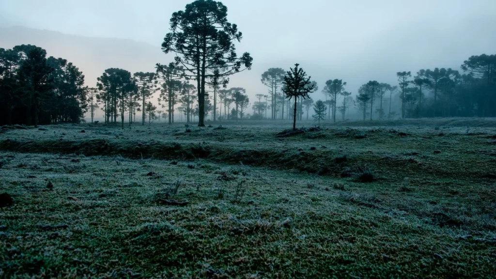 Mais Frio e Chuva Acima da Média em Julho no Brasil: Como Será o Clima nas Regiões