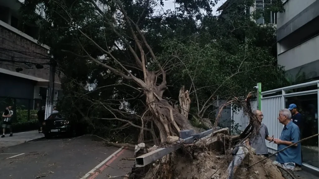 Ventos Fortes Provocam Queda de Árvore e Estragos em Niterói