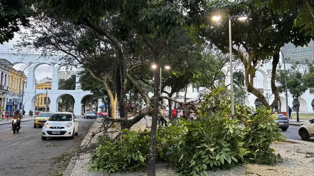 Ventania Forte no Rio de Janeiro Provoca Apagão e Paralisação dos Transportes